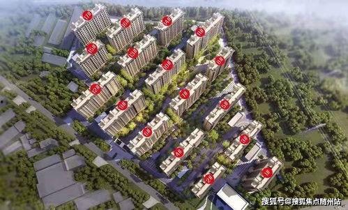 董路油管爆料最新消息,揭秘娱乐圈最新动态  第3张