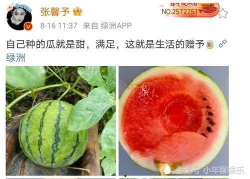 娱乐圈有什么瓜可以吃,揭秘明星幕后故事与精彩瞬间 第1张 娱乐圈有什么瓜可以吃,揭秘明星幕后故事与精彩瞬间 第1张