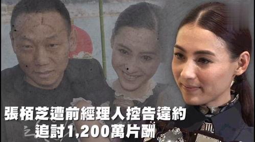 娱乐吃瓜好看吗,一场视觉盛宴的感官之旅 第1张 娱乐吃瓜好看吗,一场视觉盛宴的感官之旅 第1张