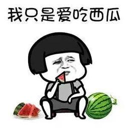 娱乐吃瓜好看吗,一场视觉盛宴的感官之旅 第2张 娱乐吃瓜好看吗,一场视觉盛宴的感官之旅 第2张