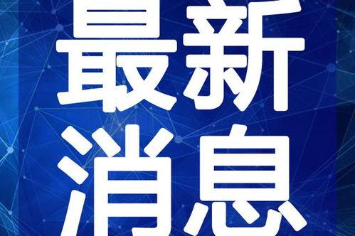 湖南头条最新爆料视频大全,揭秘热点事件，追踪社会动态