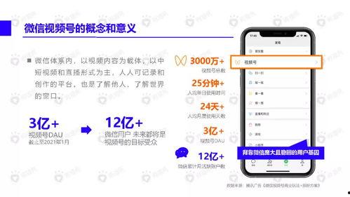唐山酒吧爆料视频最新下载,最新下载揭露惊人内幕 第3张 唐山酒吧爆料视频最新下载,最新下载揭露惊人内幕 第3张