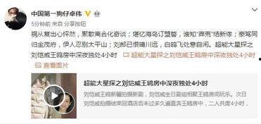 爆料剧情视频下载网站免费,免费资源一网打尽  第3张