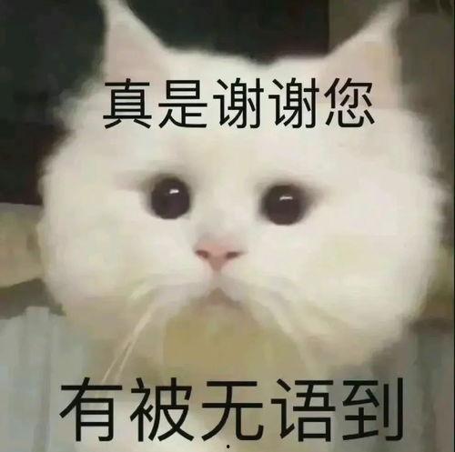吃瓜表情包沙雕