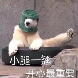 吃瓜表情包沙雕