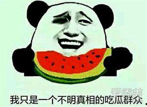 吃瓜表情是什么意思啊内涵句子