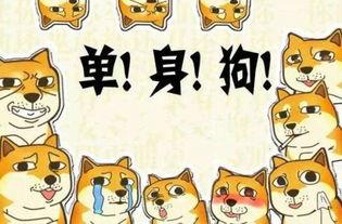 隐形式单身娱乐吃瓜酱