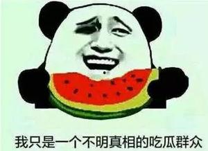 吃瓜娱乐酱名字怎么取,探寻网络红人背后的故事
